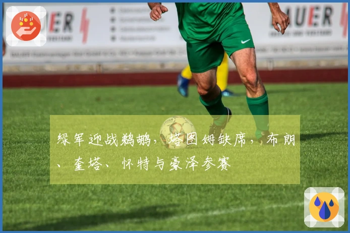 绿军迎战鹈鹕，塔图姆缺席，布朗、奎塔、怀特与豪泽参赛